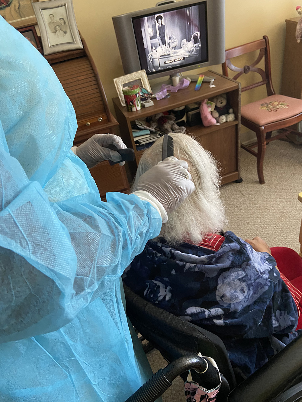 Alexandria, Virginia Head lice treatment & Mobile (inhome) removal